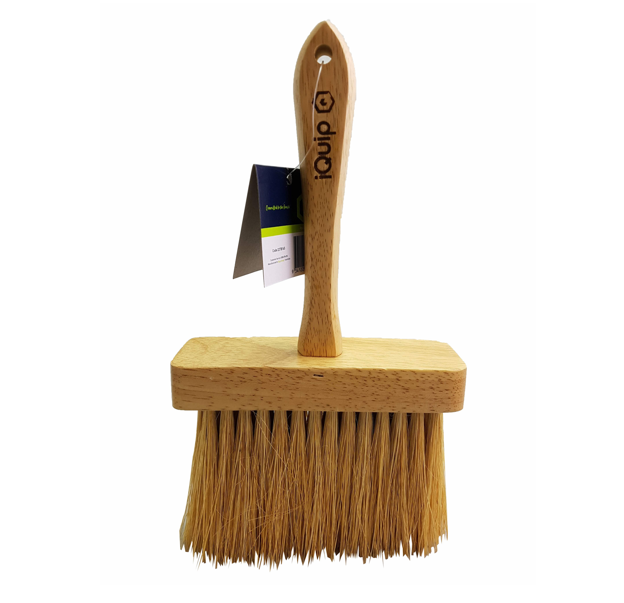 Iquip Tampico Masonry Brush Direct Paint